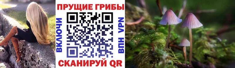 Купить закладки Валуйки Галлюциногенные грибы ЛСД
